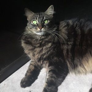 Meet your Posher, Neftali